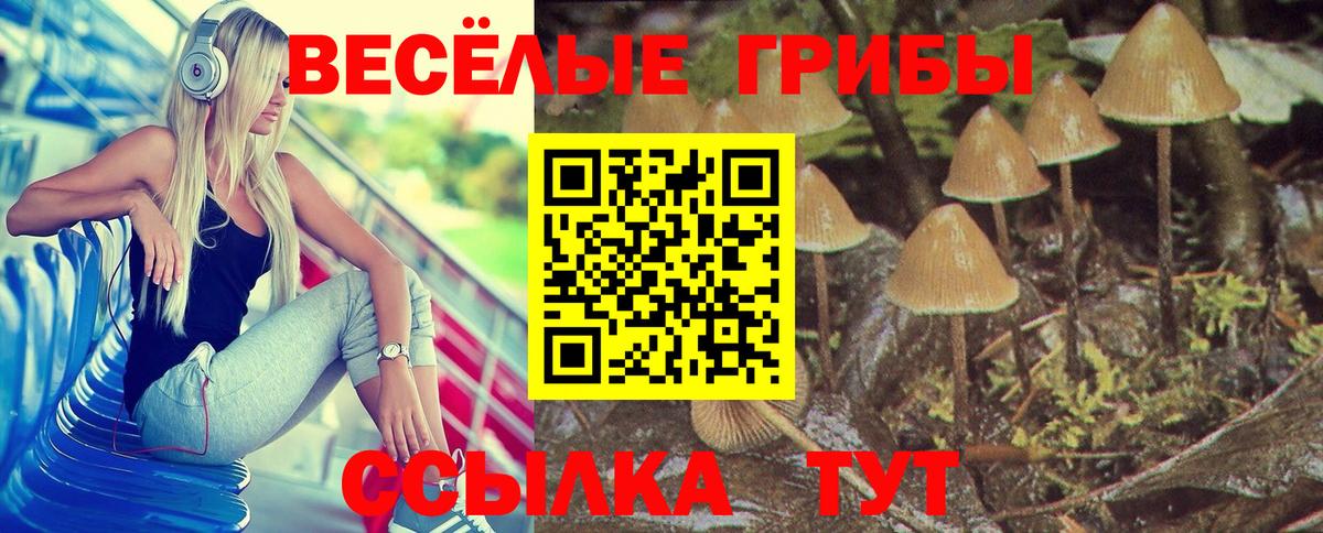 где можно купить   Псилоцибиновые грибы Magic Shrooms  Вход с VPN  Галлюциногенные грибы MAGIC MUSHROOMS  Лосино-Петровский 